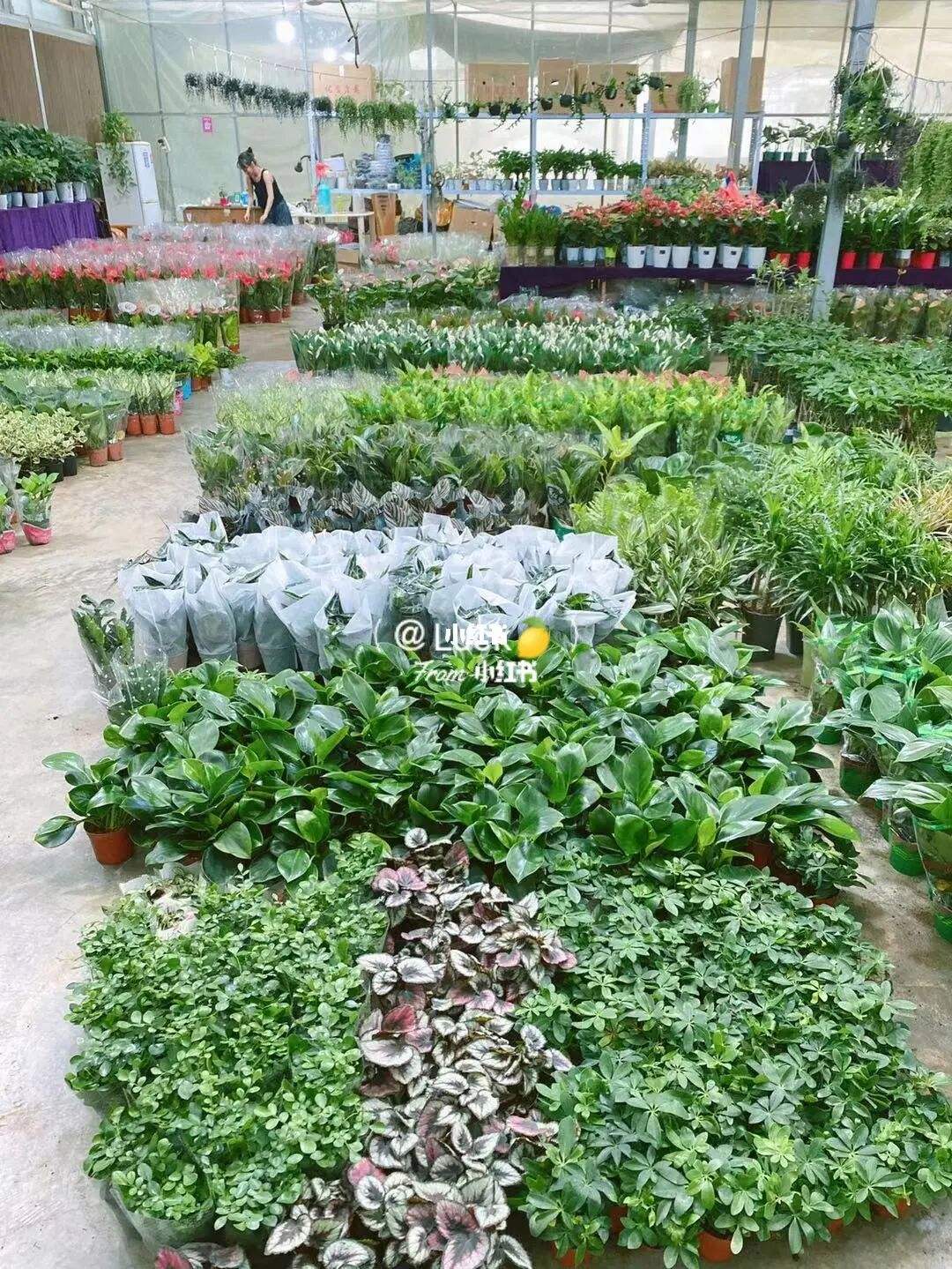 台湾农民创业园