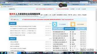 热点！浙**年创业就业网