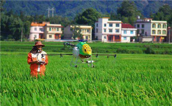 相关！农村创业项目推荐