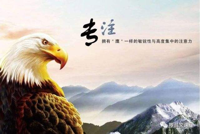 热点！创业商学院陈昌文