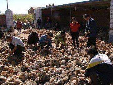 求答案！适合农村创业的项目