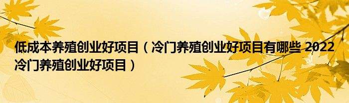 常见问题！创业行业