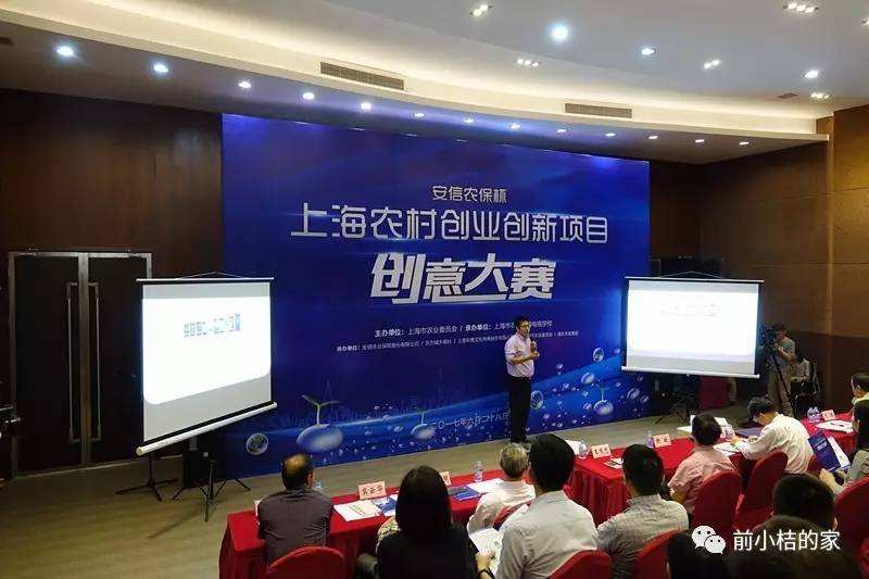 解释！上海创业