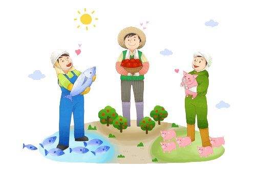 热点！养殖创业网