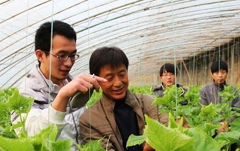 热点！新农村创业