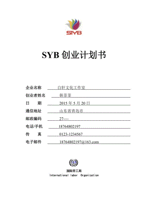 常见问题！syb创业计划书