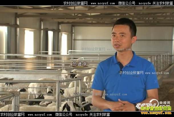 解答！创业致富经