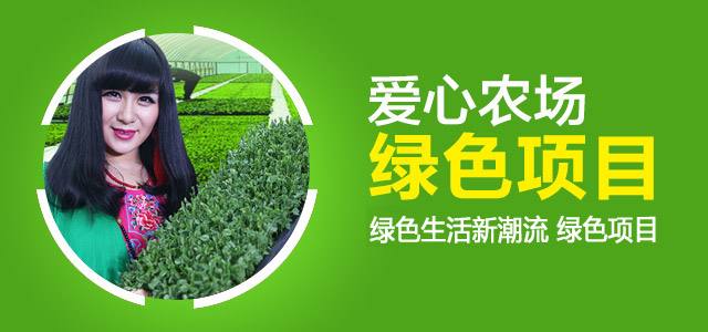 小本投资创业项目