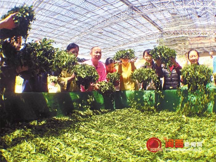 生态农场创业计划书