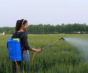 求答案！农村创业点子