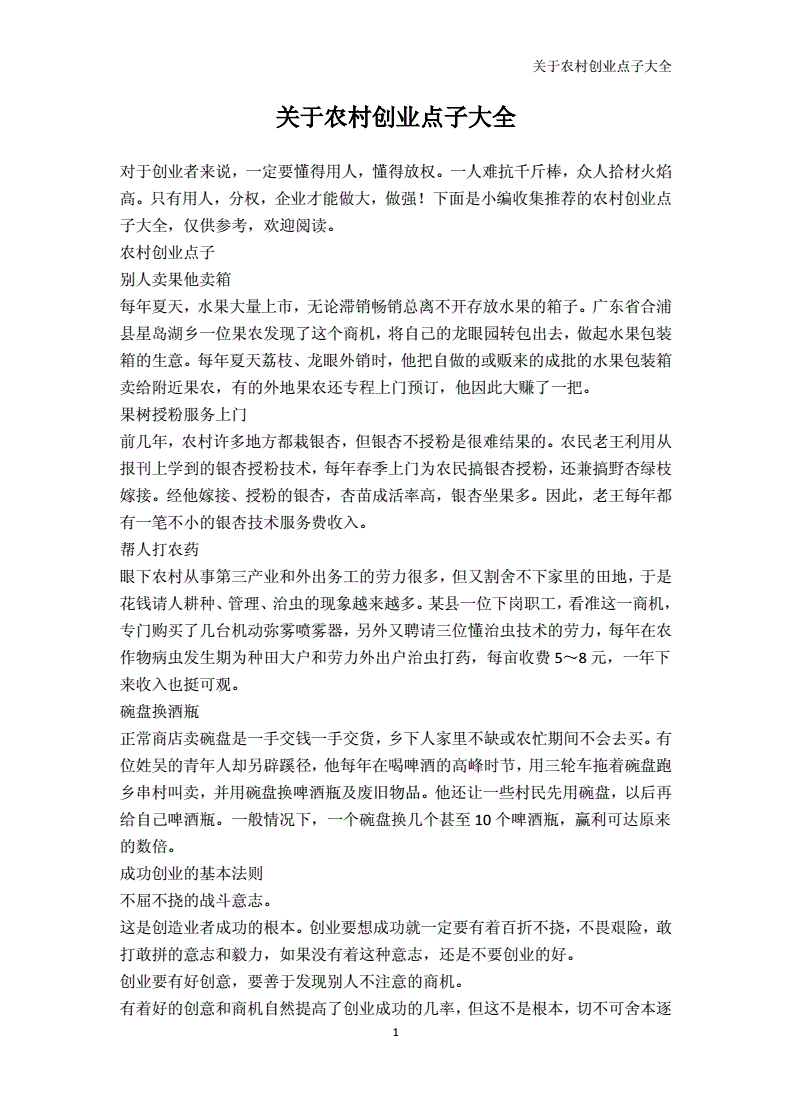 解释！农村创业点子