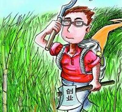 解释！农村创业点子