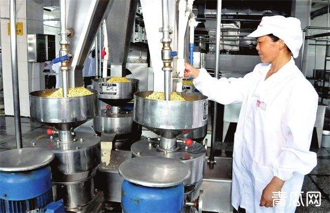 解答！农村办厂创业项目