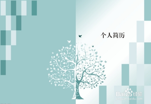 常见问题！个人创业经历怎么写