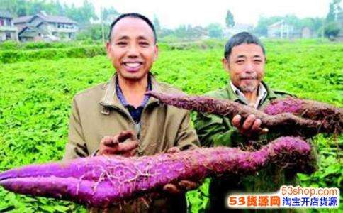 解说！农村创业致富项目"在线解答"