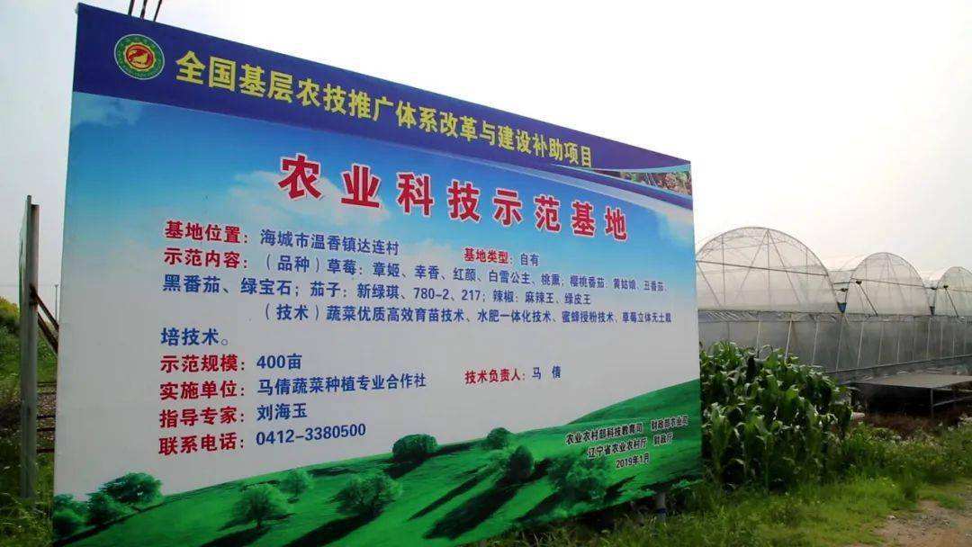 求答案！农村创业致富网