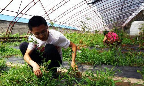 解释！农村创业项目推荐