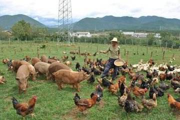 小知识！农民创业致富好项目