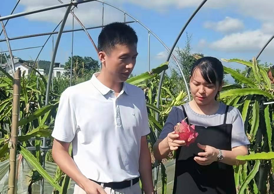 解答！农村创业成功案例