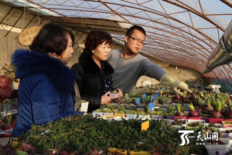 小知识！农民创业