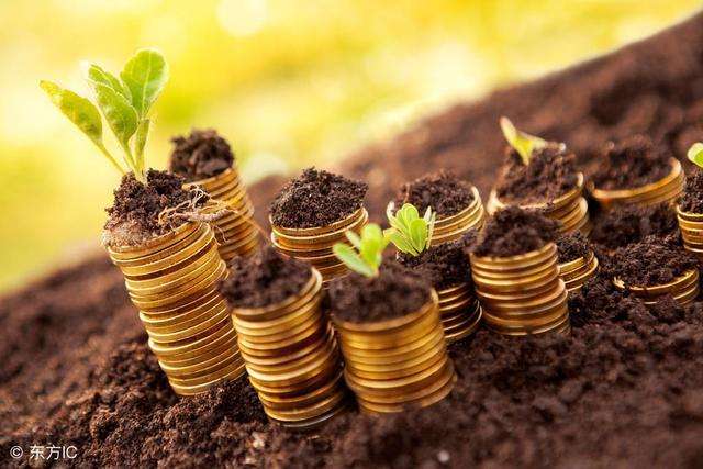 常见问题！适合农村的创业项目