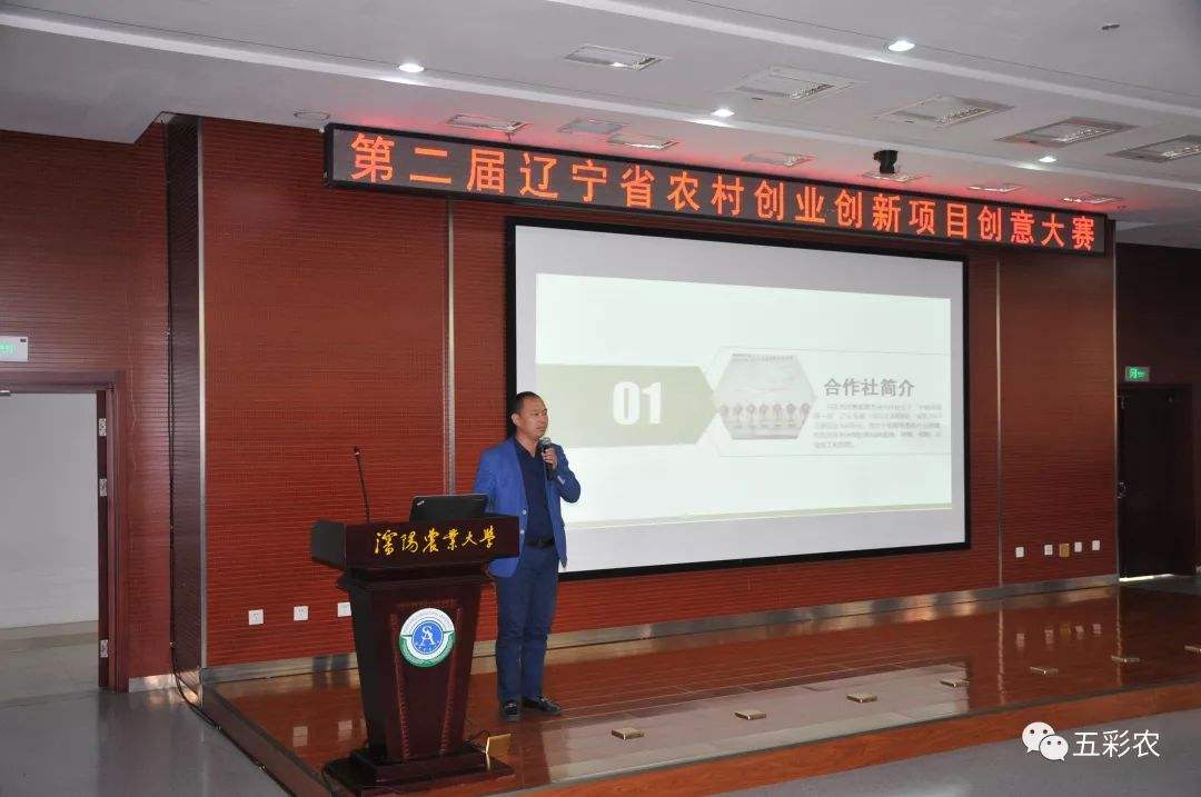 解释！最新农村创业项目"在线解答"