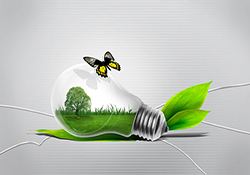 解释！环保创业项目