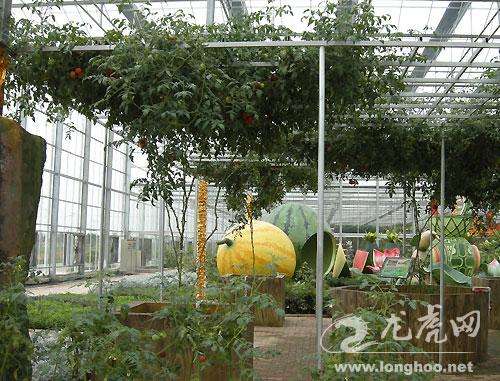 小知识！台湾农民创业园"专业解答"