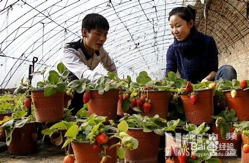 相关！夫妻创业