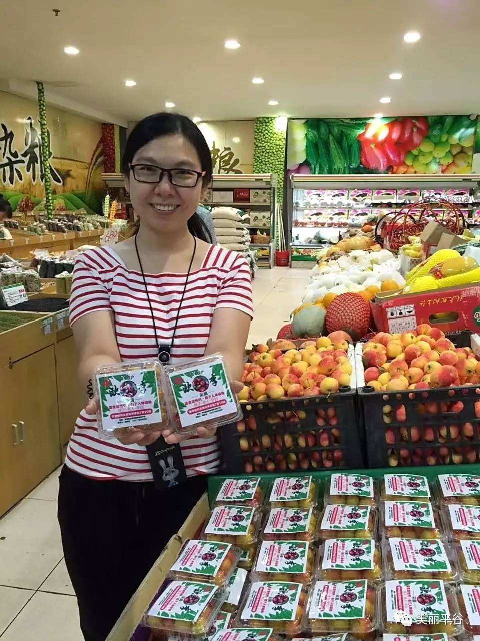 农村小本创业项目