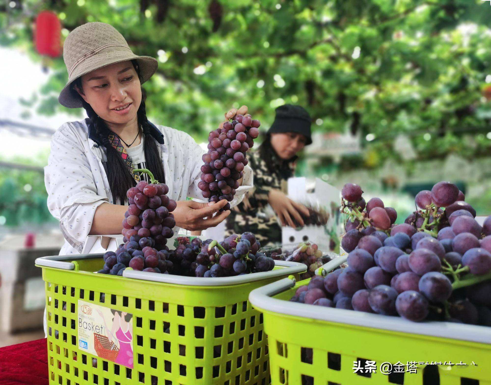 常见问题！返乡创业