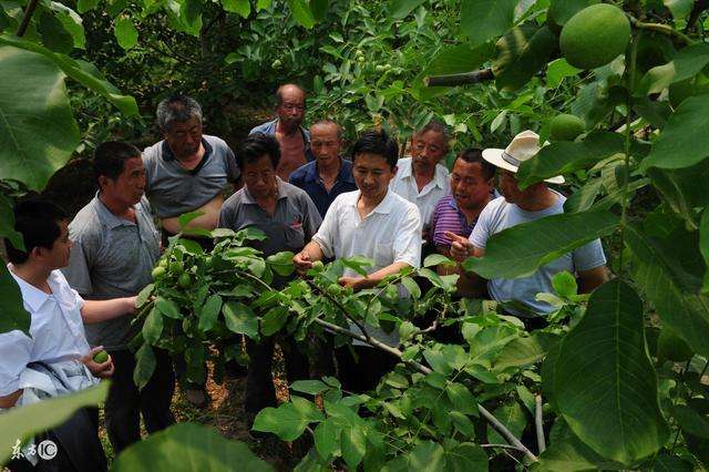 相关！农村小本创业项目