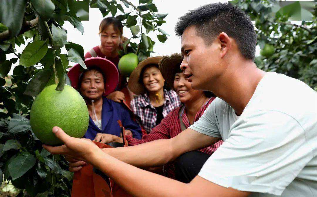 相关！返乡创业