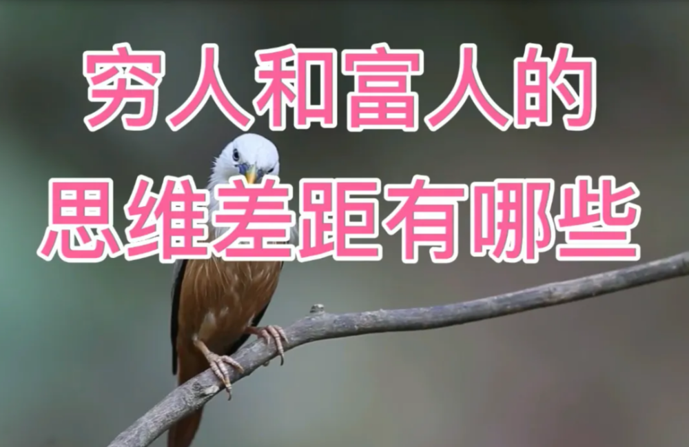 解释！穷人创业好项目