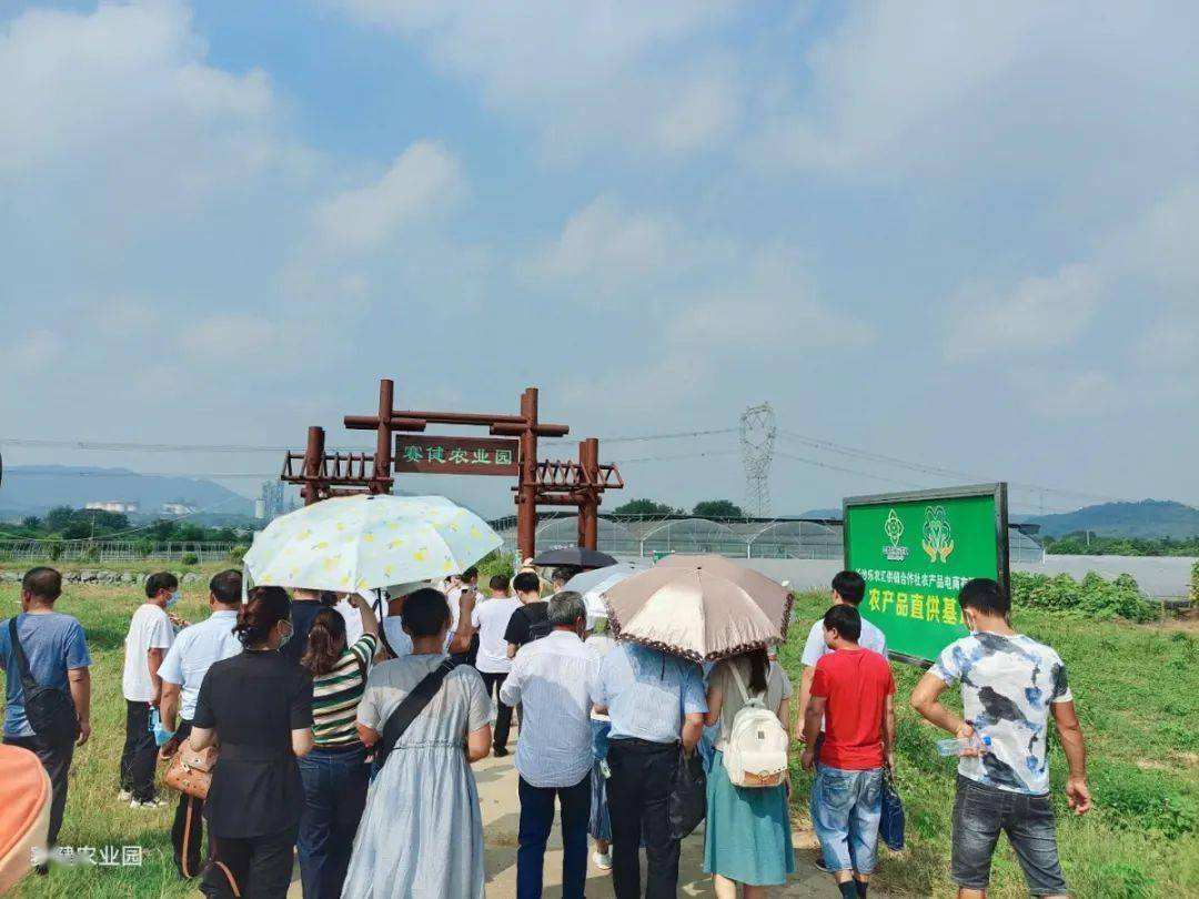 解答！农业创业故事