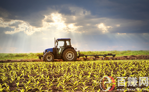 解释！最新农村创业项目"专业解答"
