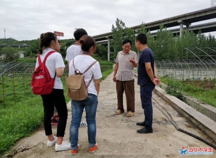 解答！适合农村的创业项目