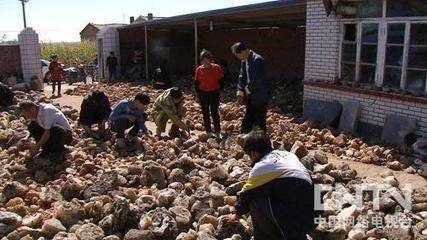 热点！农民创业致富好项目