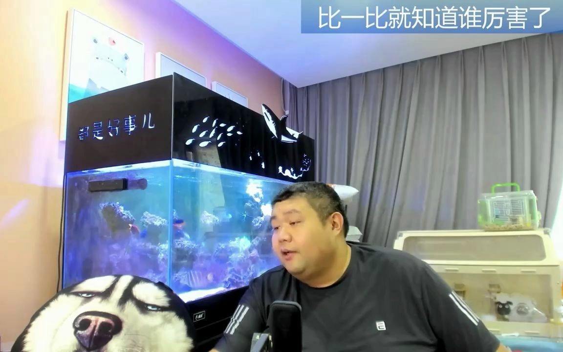 创业贷款需要什么条件