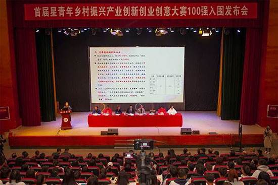 相关！青年人创业