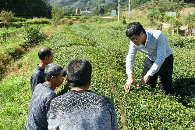 解释！农村创业成功案例