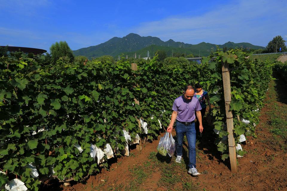 小知识！农村创业项目"专业解答"