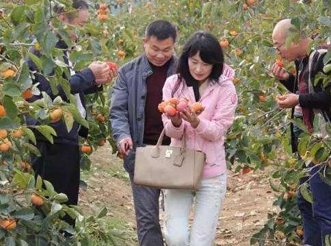 常见问题！适合农村的创业项目