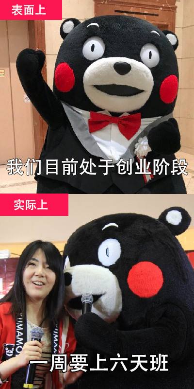 相关！我要去创业