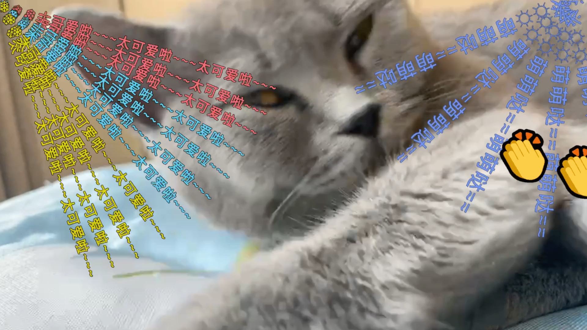 内蒙古大学创业学院