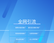 解释！a5创业网