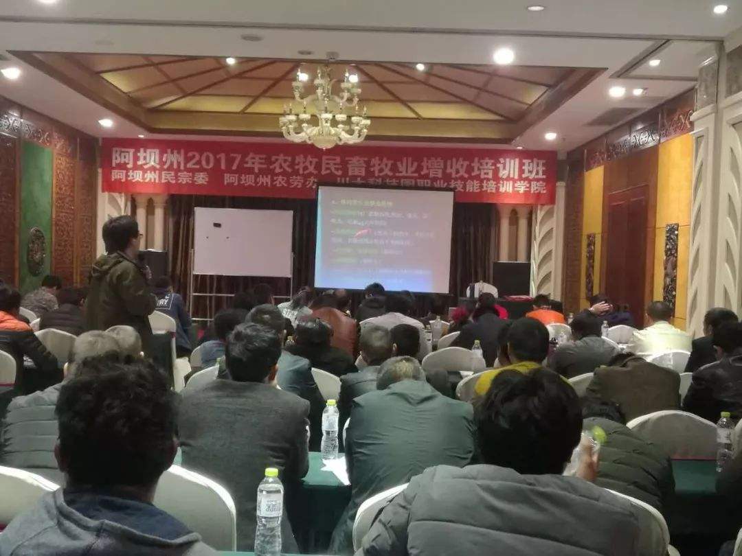 热点！农村创业网