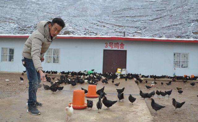 常见问题！农村养殖创业致富网