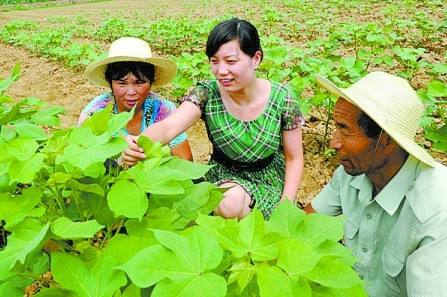 解说！农村创业致富网