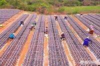 相关！农村办厂创业项目"专业解答"